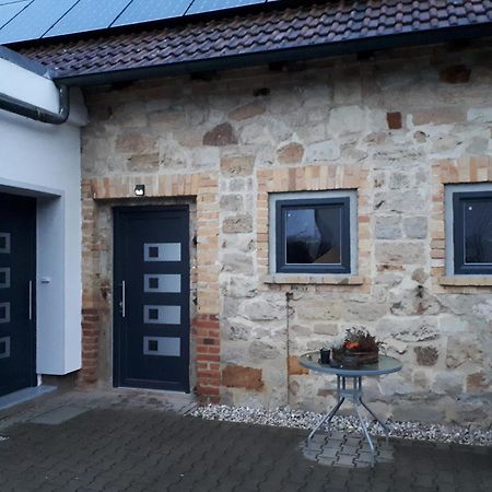 Ferienwohnung Gaensebluemchen Wartenburg ภายนอก รูปภาพ