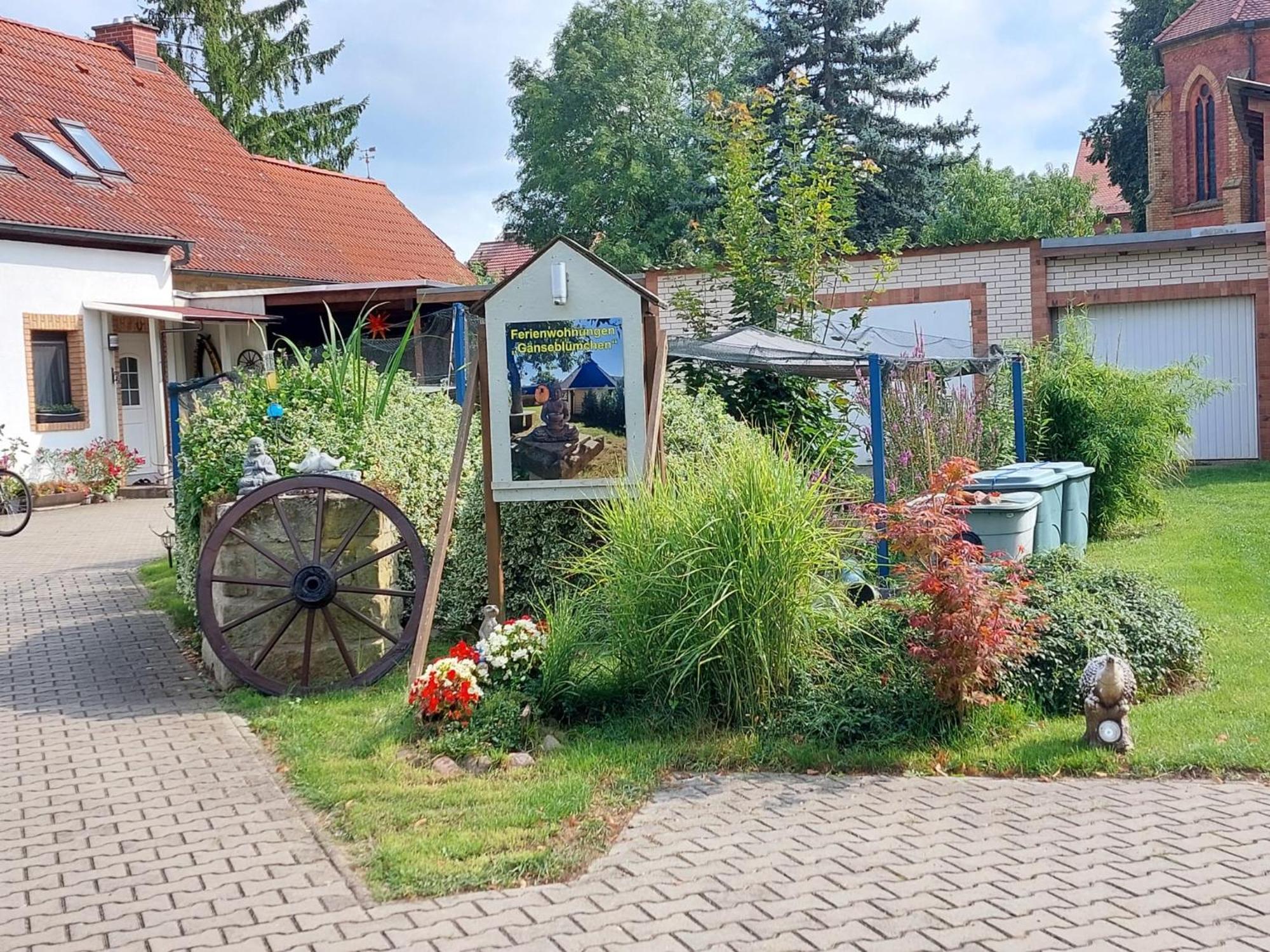 Ferienwohnung Gaensebluemchen Wartenburg ภายนอก รูปภาพ